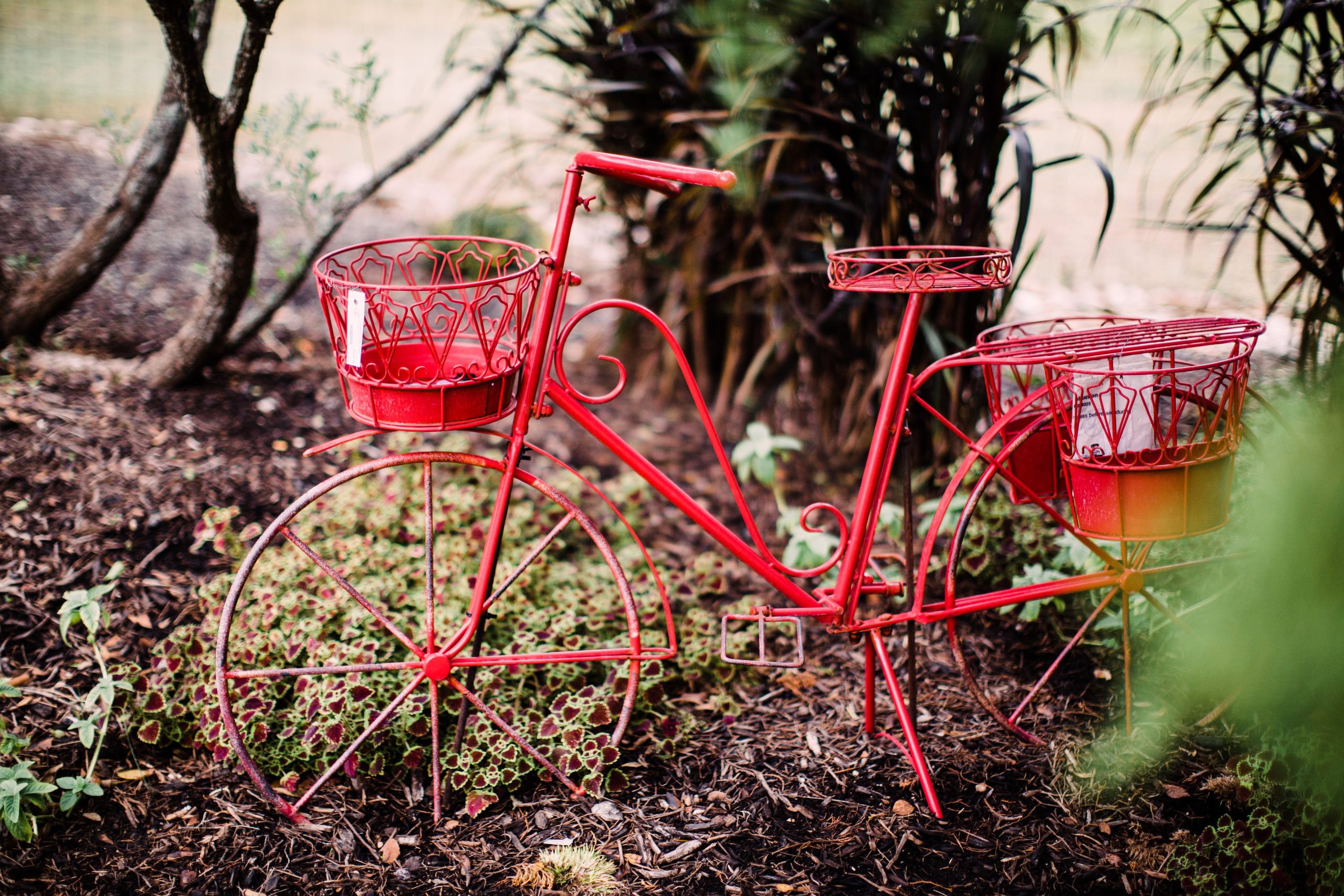 Red metal bike among landscaping greenery