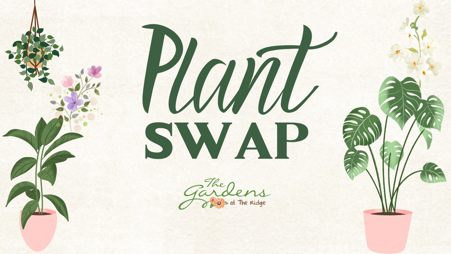 plant swap web Plant swap